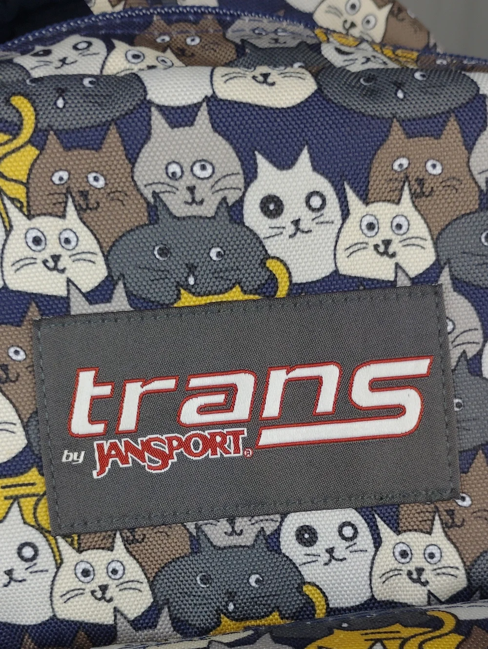 Trans By Jansport Large Backpack